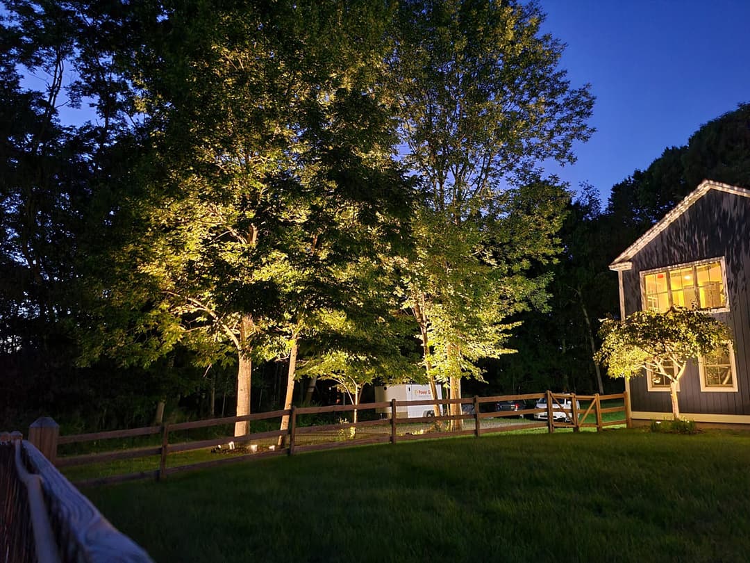 Well-lit trees beside a house at dusk, with a wooden fence and grassy area.