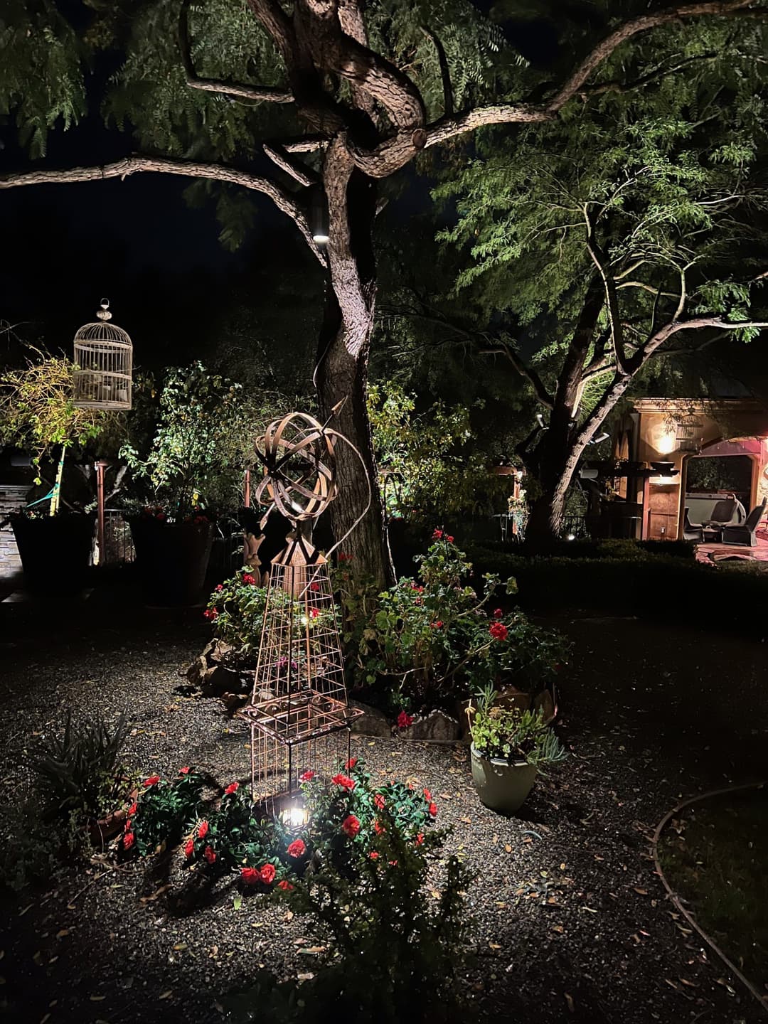 Illuminated garden at night featuring a vintage windmill and vibrant red flowers.