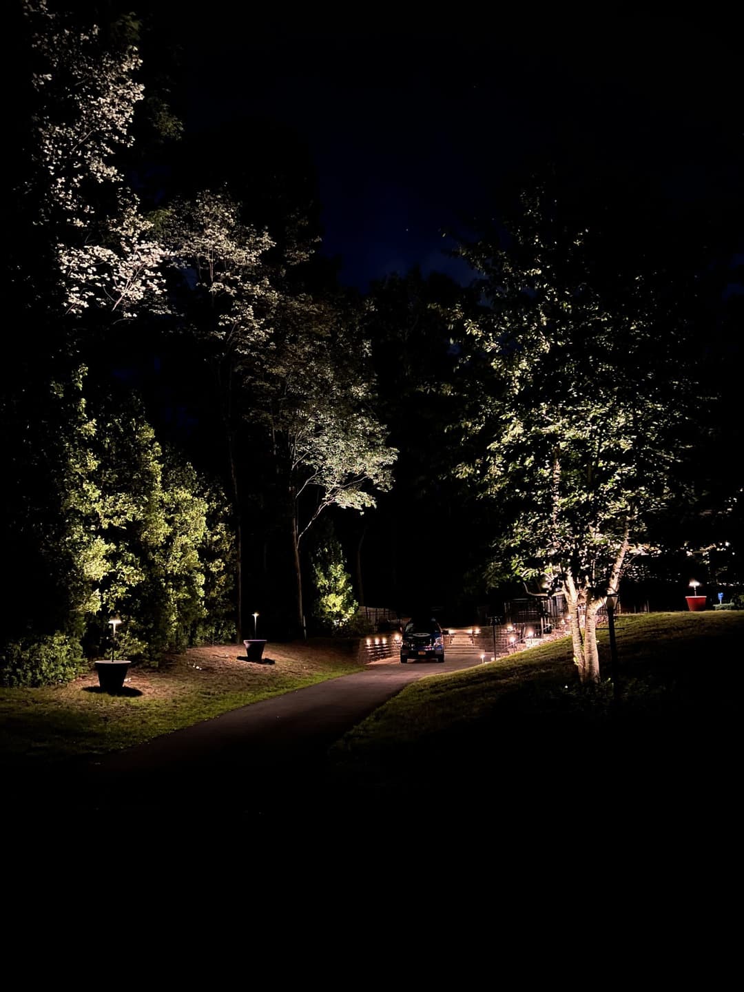 Illuminated pathway at night surrounded by trees and decorative lights.