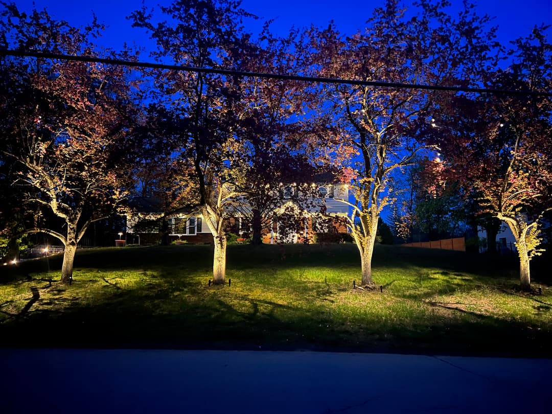 Illuminated trees in front of a house at dusk, showcasing autumn foliage and a subtle glow.