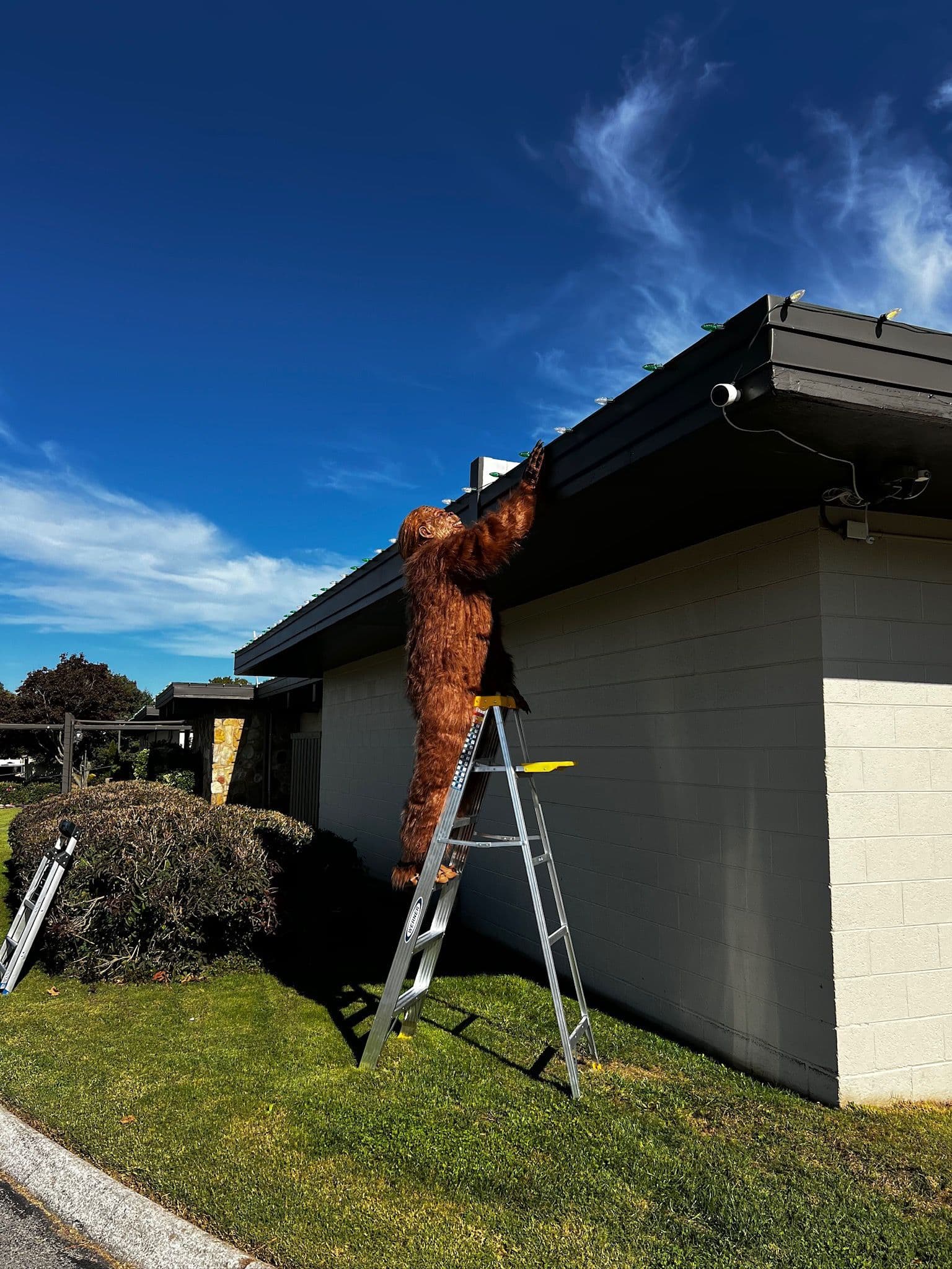 Project Sasquatch Safely Lights Up Alcoa for Holidays image