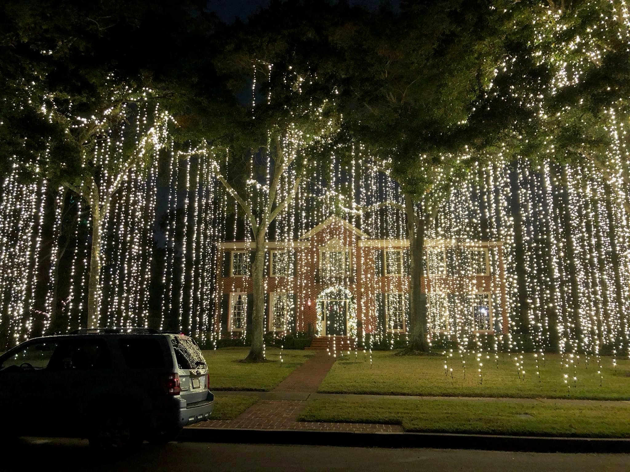 Project Transform Your Yard with Magical Curtain Lights image