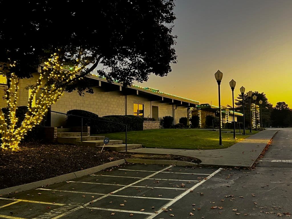 Project Let Your Trees and Homes Shine Bright This Holiday Season image