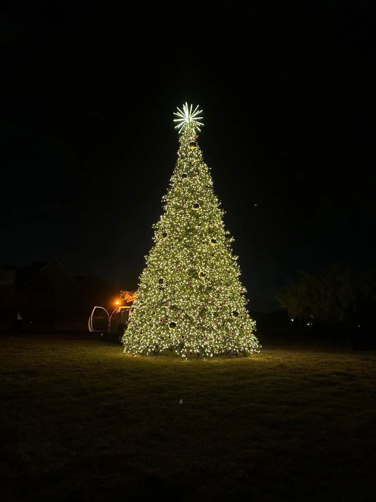 Gallery photos for Let Your Trees and Homes Shine Bright This Holiday Season: Image #1
