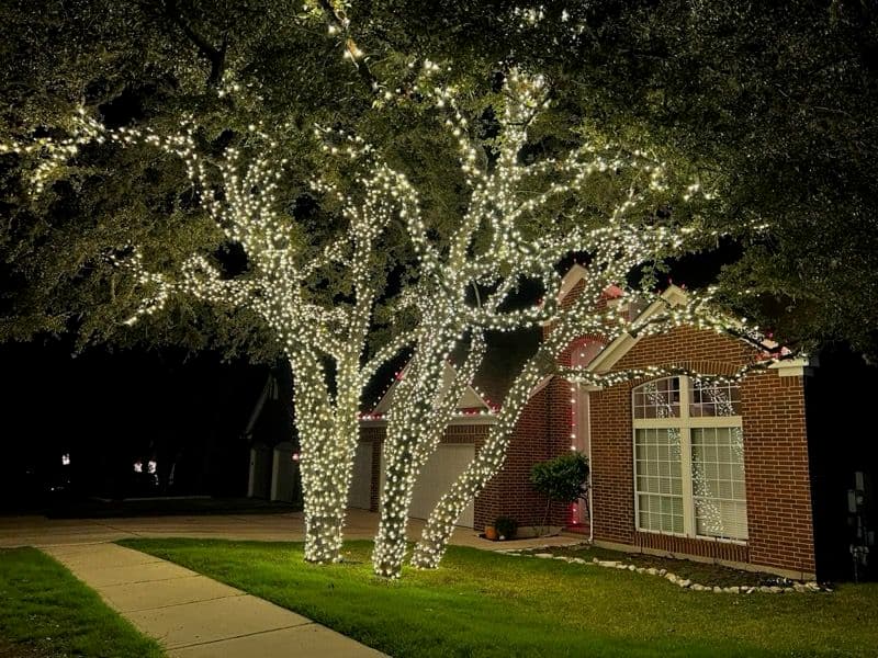 Gallery photos for Lighting Up Your Trees with Sasquatch Lighting Co: Image #3