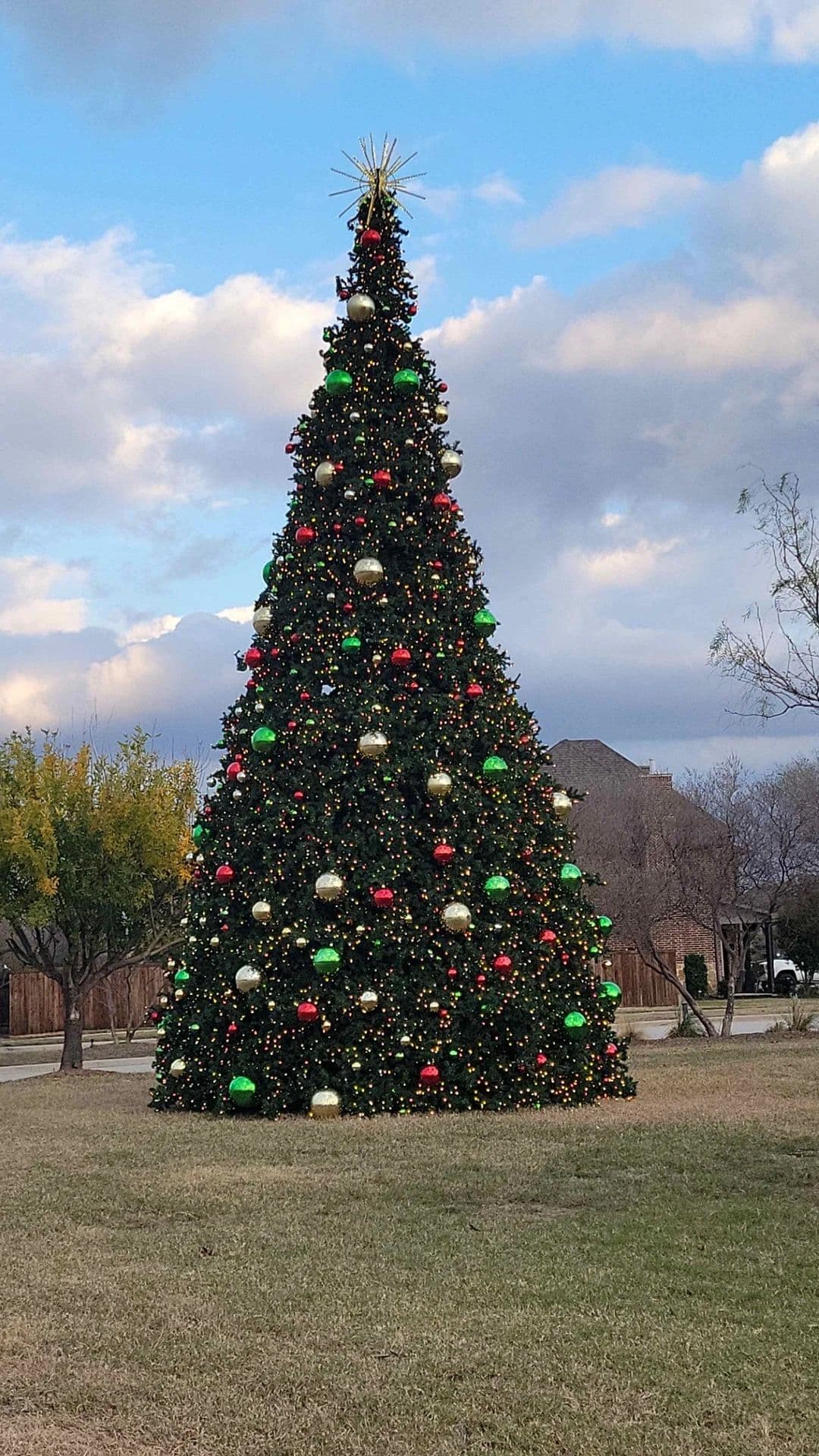 Holiday Spirit with Our Tower Tree image