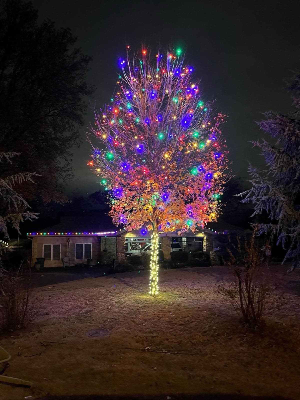 Project Illuminate Your Holidays with Vibrant Lighting Displays image