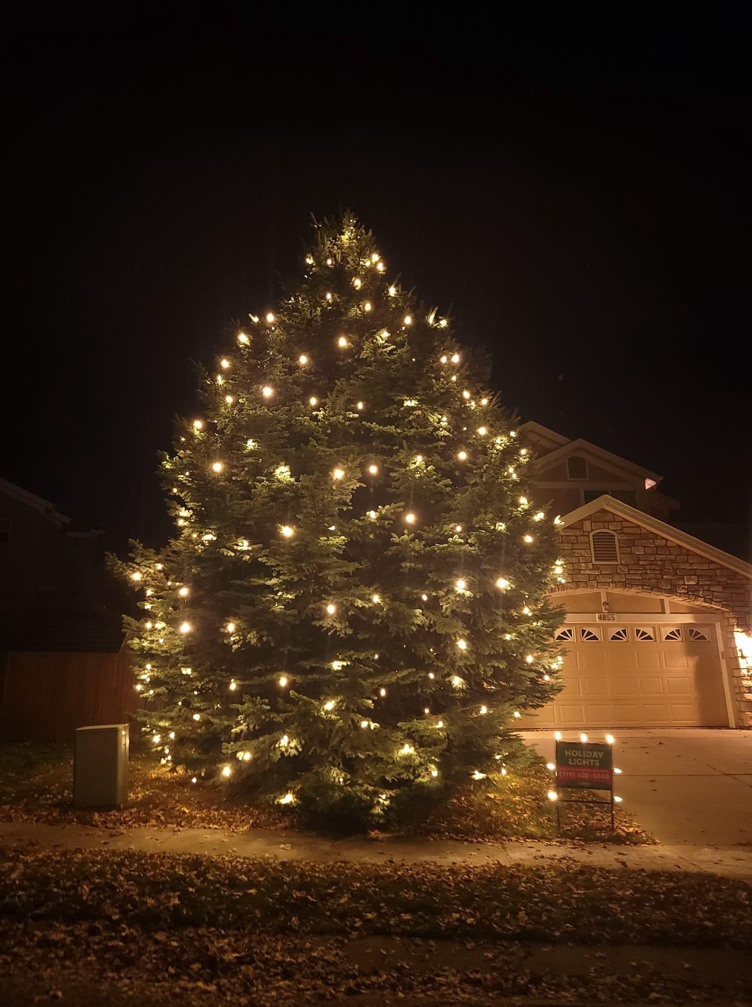 Gallery photos for Illuminate Your Holidays with Vibrant Lighting Displays: Image #1