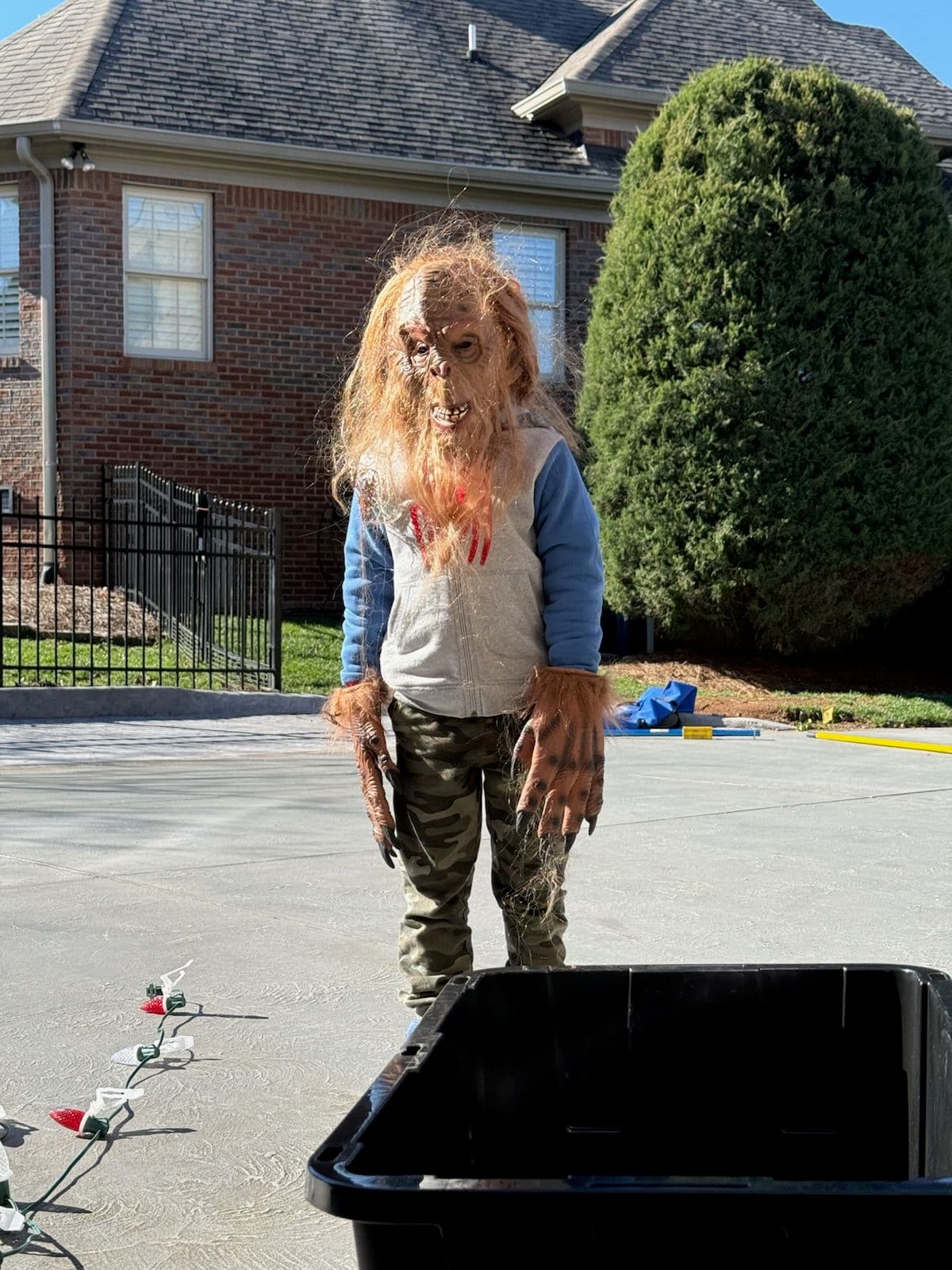 Project Sasquatch Spotted with Outdoor Holiday Lighting image