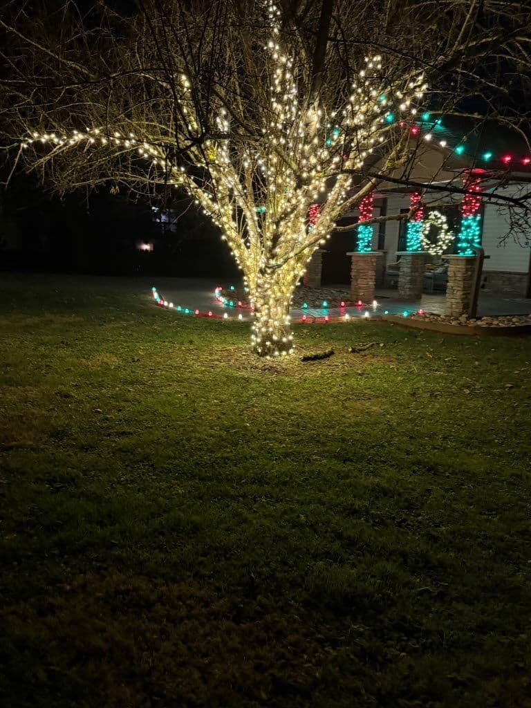 Gallery photos for Holiday Transformation with Custom Lighting: Image #1