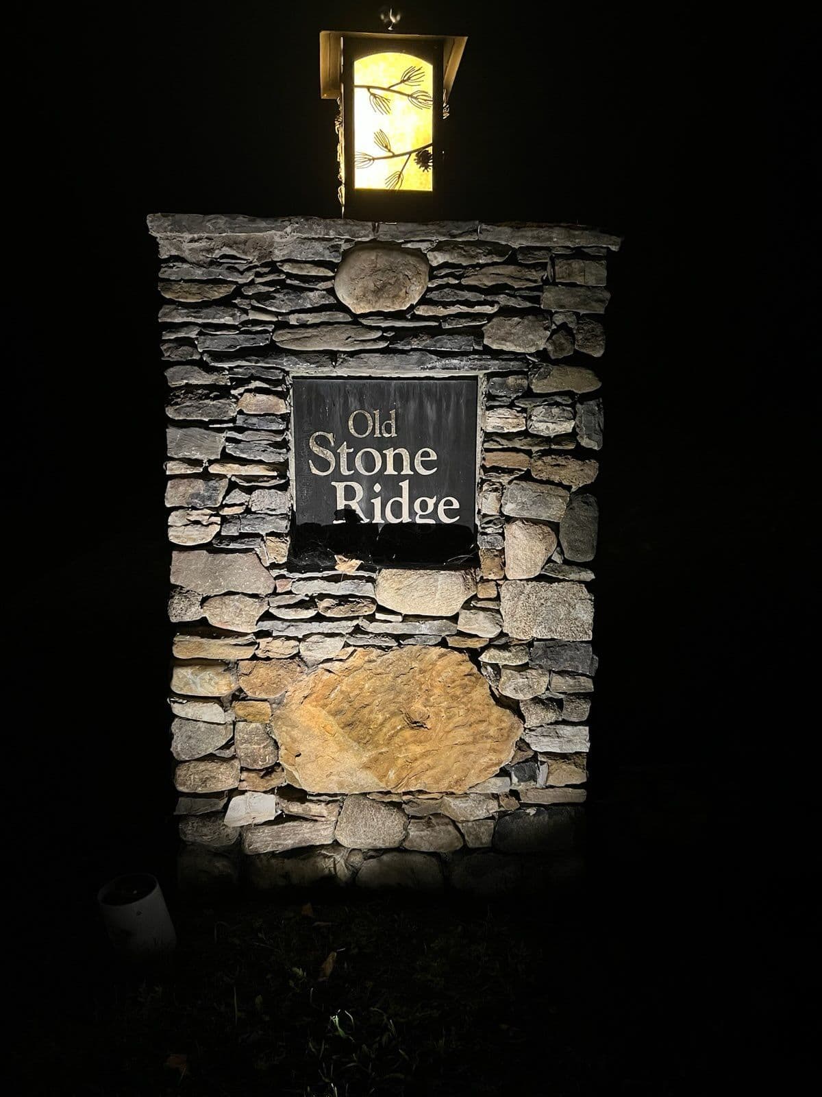 Elevate Your Nights with Stunning Landscape Lighting