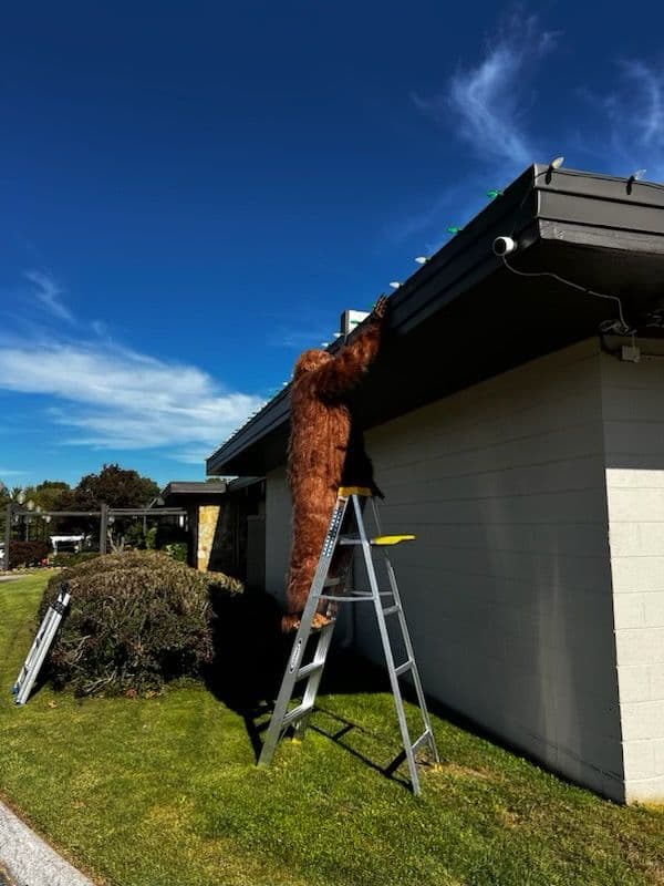 Project Sasquatch Takes on Outdoor Lighting Install image