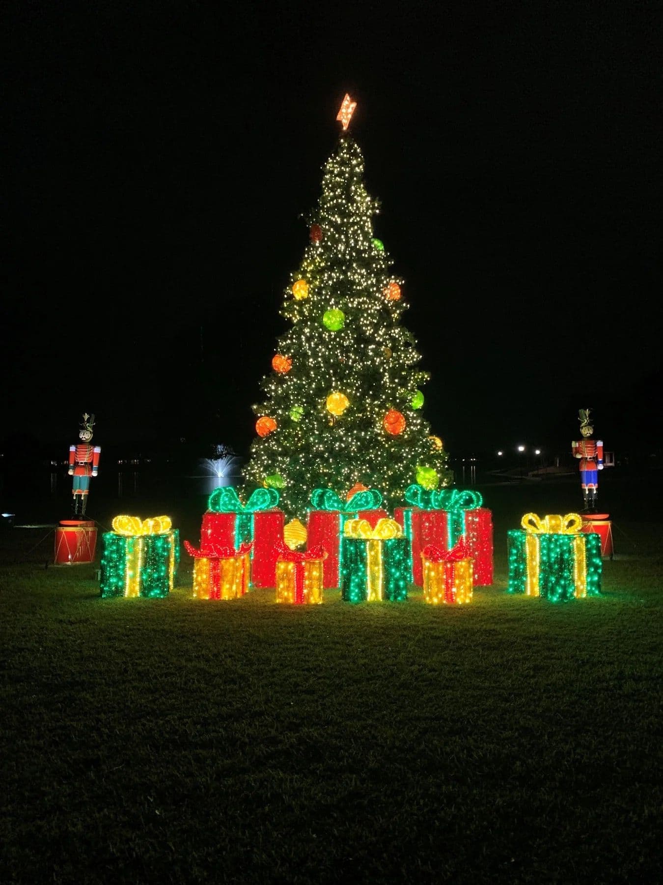 Enchanting Holiday Lighting Display image